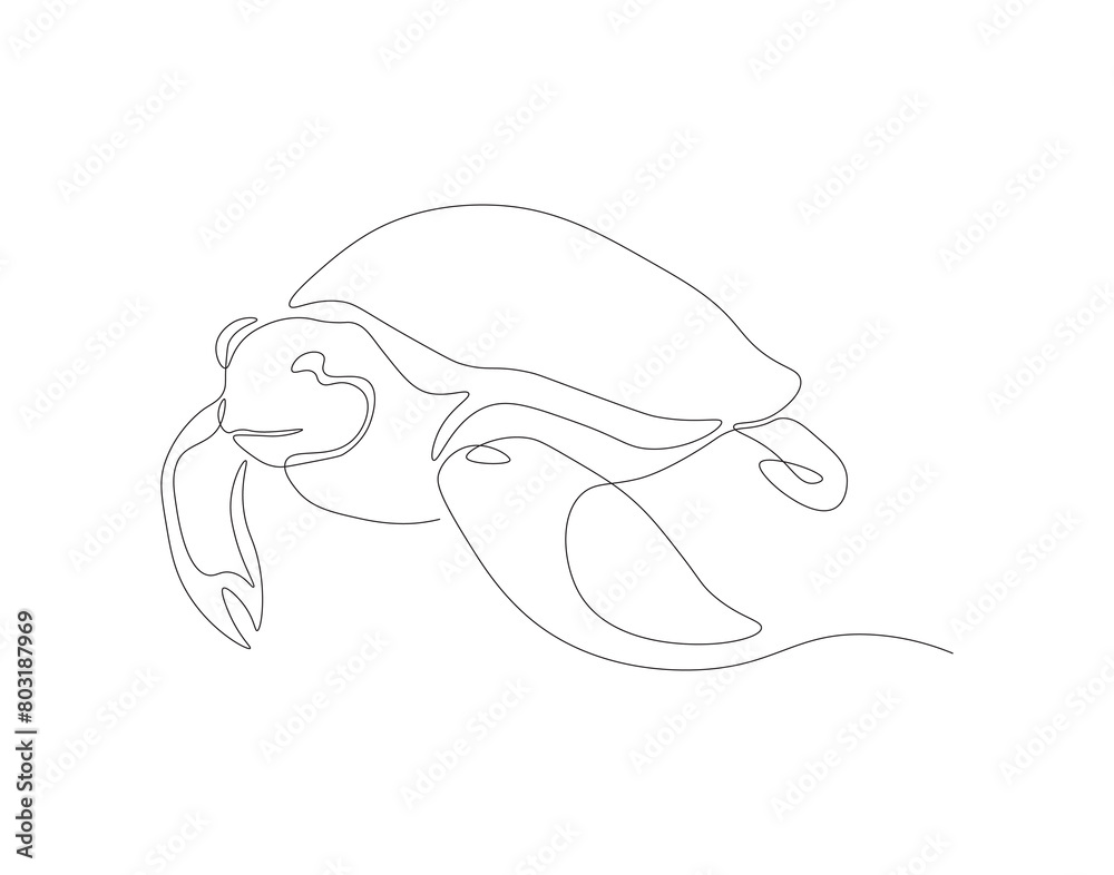 Continuous line drawing of sea turtle. One line of sea turtle. Marine animal concept continuous line art. Editable outline. Continuous line drawing of sea turtle. One line of sea turtle. Marine animal concept continuous line art. Editable outline.