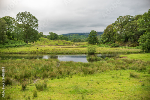 The River Brathay near Skelwith Force in the Lake District, England
