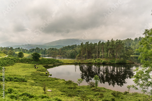 Reflections in Tarn Hows in the English Lake District on a calm cloudy day