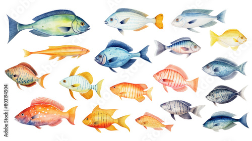 Various species of colorful fish in isolated on transparent background