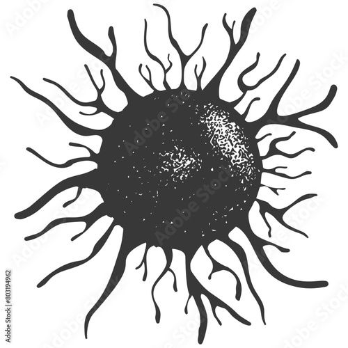 silhouette cancer cell full black color only