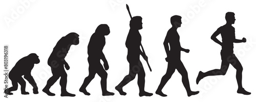 Evolution of the human from Darwin to the runner. Silhouettes with the different steps of evolution. vector illustration