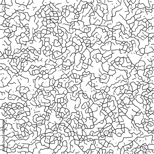 Black and white crack pattern. Elephant skin texture. Editable graphic resource. Vector Format 