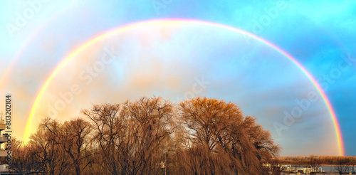 half circle rainbow above a riparian forest at the river Danube in Tulln, Austria