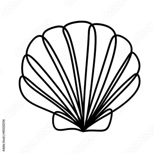 Seashell one line art
