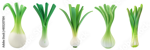 PNG leek 3d icons and objects collection, in cartoon style minimal on transparent, white background, isolate photo