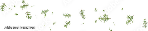 rosemary leaves