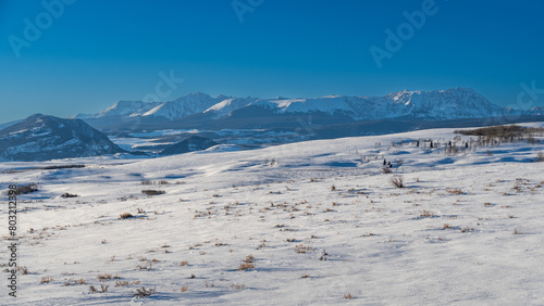 A spring snowfall covers the Colorado landscape with snow capped mountains in the distance. 
