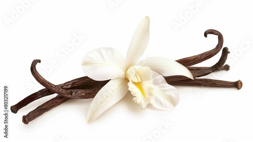 A delicate white orchid flower paired with several dark brown vanilla pods on a white background.