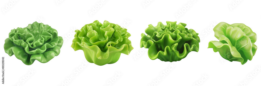 Fototapeta premium PNG lettuce 3d icons and objects collection, in cartoon style minimal on transparent, white background, isolate