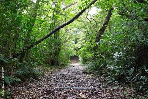 奄美大島 自然観察の森の山道 photo
