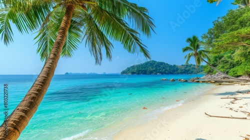 Coconut trees on a tropical beach with white sand and crystal clear water