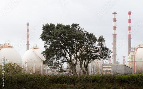 Inactive Refinery in a foggy morning, Portugal.