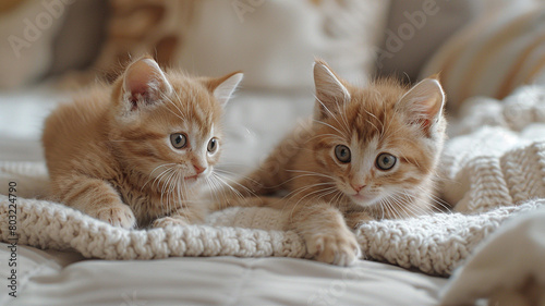 A pair of playful kittens chasing each other around a cozy sofa chair.
