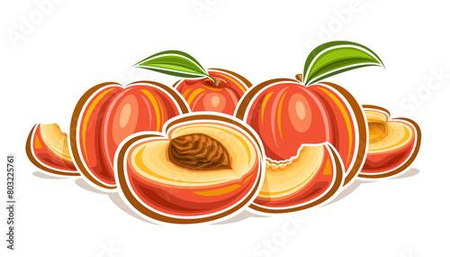 Vector logo for Peach, decorative horizontal poster with outline illustration of orange peaches composition with green leaf, cartoon design fruity print with raw yellow peach flesh on white background