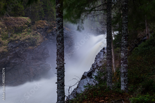  northern norway:nature sceneries on the road from Bronnoysund to Trondheim  photo