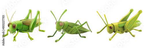 PNG grasshopper 3d icons and objects collection, in cartoon style minimal on transparent, white background, isolate