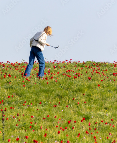 A woman takes a photo of a field with red tulips in spring on her phone