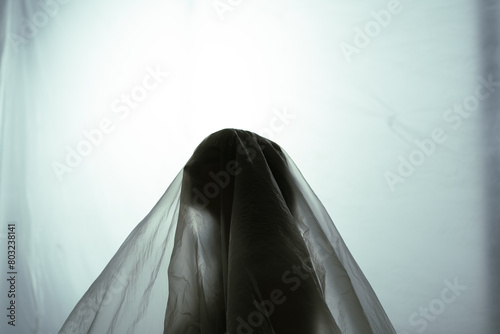 Bild auf Leinwand Silhouetted Figure Under Sheer Fabric Against Illuminated Backdrop