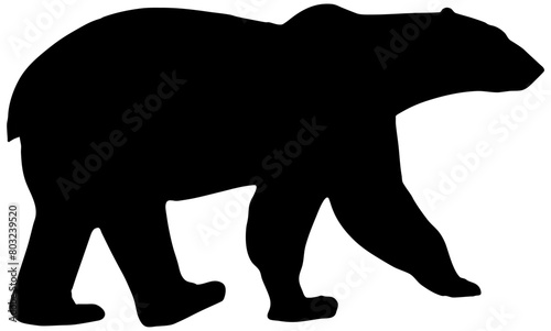 Silhouette of Polar Bear walking, isolated 
