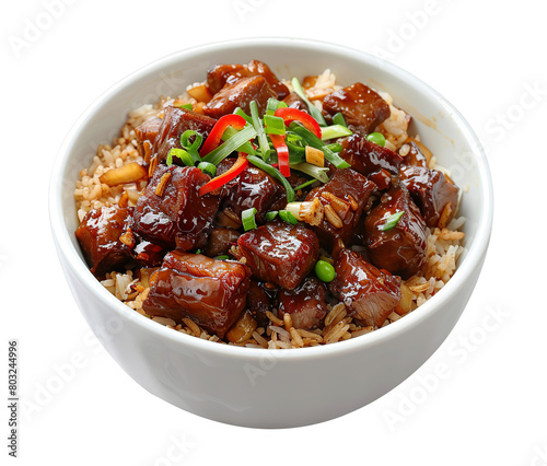 Braised pork rice isolated on transparent background