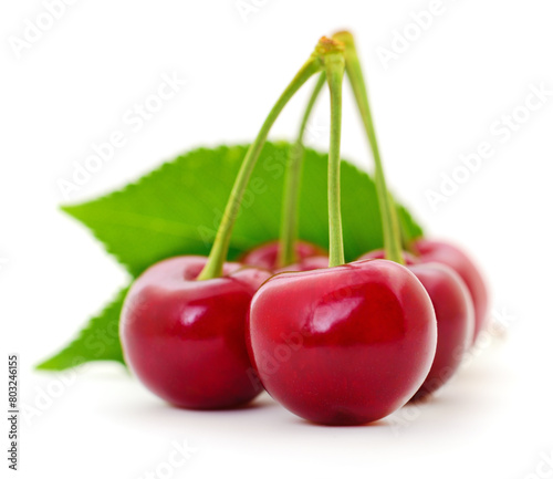 Cherry with leaves on white.