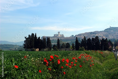 Italy, Umbria, Perugia: Foreshortening of Assisi.