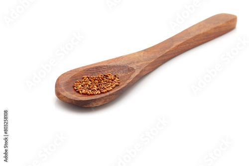 Front view of a wooden spoon filled with Organic Pansy (Viola tricolor var) seeds. Isolated on a white background. photo