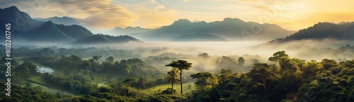 A forest with a misty, foggy atmosphere. The trees are lush and green, and the sky is cloudy