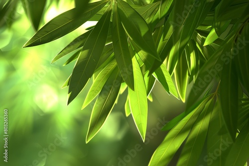 Detailed close up of a vibrant green leafy tree  showcasing the intricate patterns and textures of the leaves