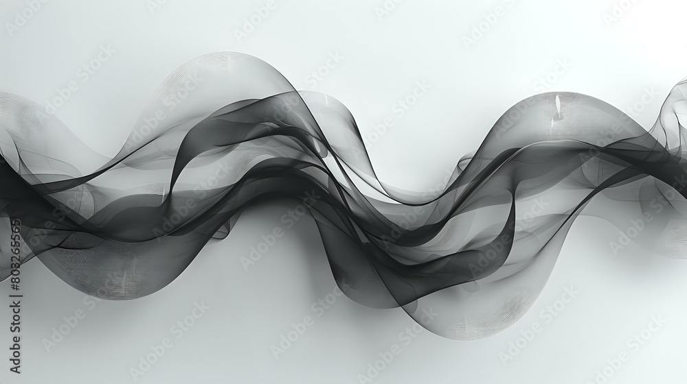 Obraz premium Simplicity in Black and White: Dual Curves