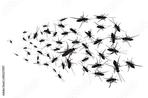 A group of mosquitos flying in the air. Suitable for educational materials on insects