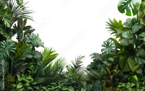 PNG Jungle backgrounds vegetation outdoors.