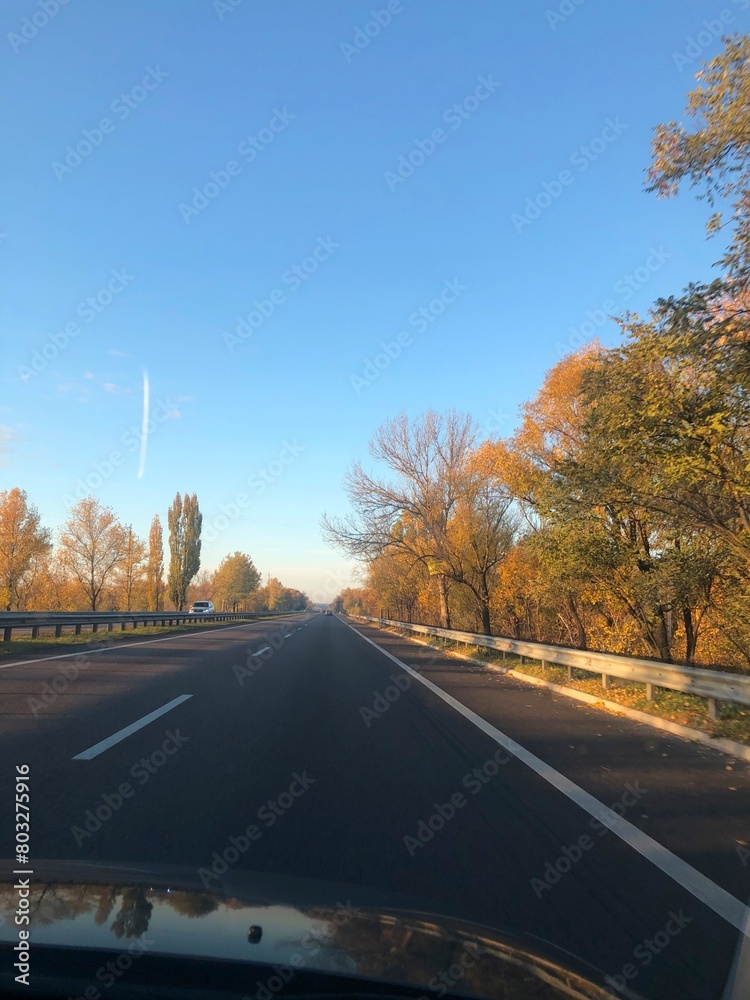 Autumn road