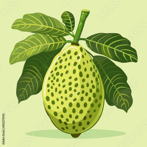 A green Breadfruit with a stem and leaf