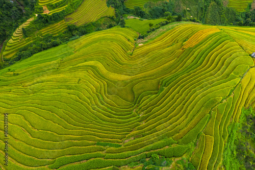Vietnamese terrace ricefield drone aerial view