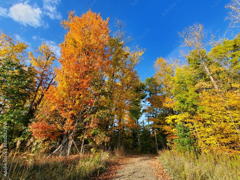 Fall in Ohio