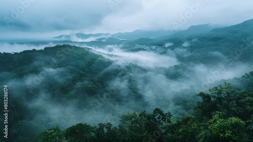 Montecristo Cloud Forests: Misty Biodiversity