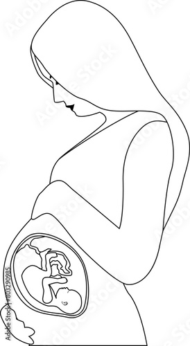 A pregnant woman touching her belly. A baby in the womb is in the fetal position with its head down. Outline vector illustration. Transparent background.