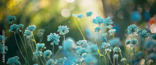 Delicate teal-colored flowers swaying gracefully in a serene garden, inviting a sense of calmness.