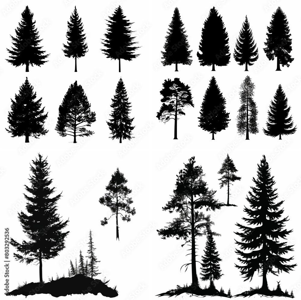 black tree silhouette set pure badge eco outline recreation breath emblem label protection graphic pine trunk woodland black tree silhouette set pure badge eco outline recreation breath emblem label protection graphic pine trunk woodland
