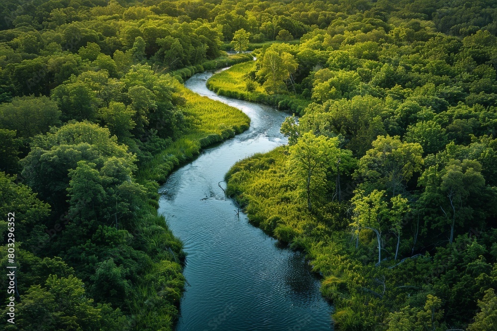 From above, a river carves a sinuous path through a dense tapestry of forest greenery