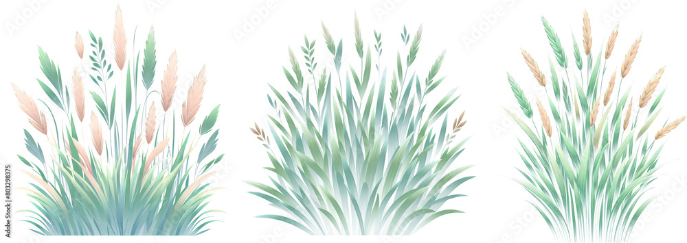 Bush ornamental grass clipart, various grass bushes isolated on transparent background, digital art pastel Bush ornamental grass clipart, various grass bushes isolated on transparent background, digital art pastel