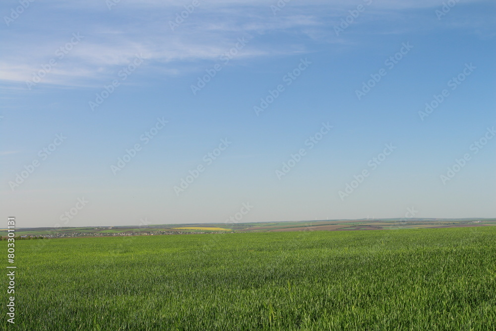 A green field with blue sky and clouds