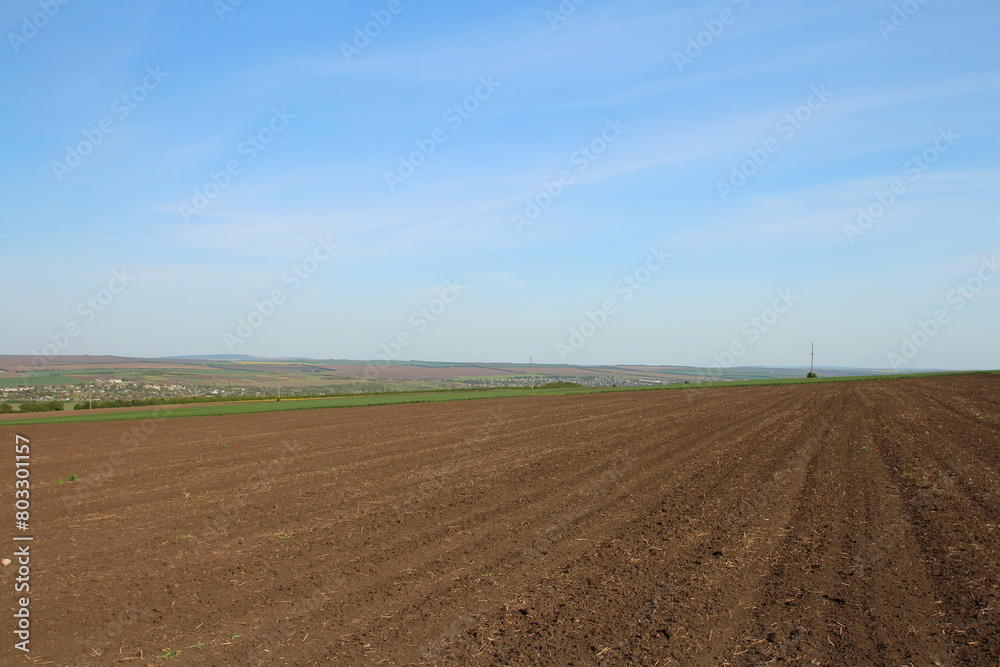 A dirt road with a field and blue sky