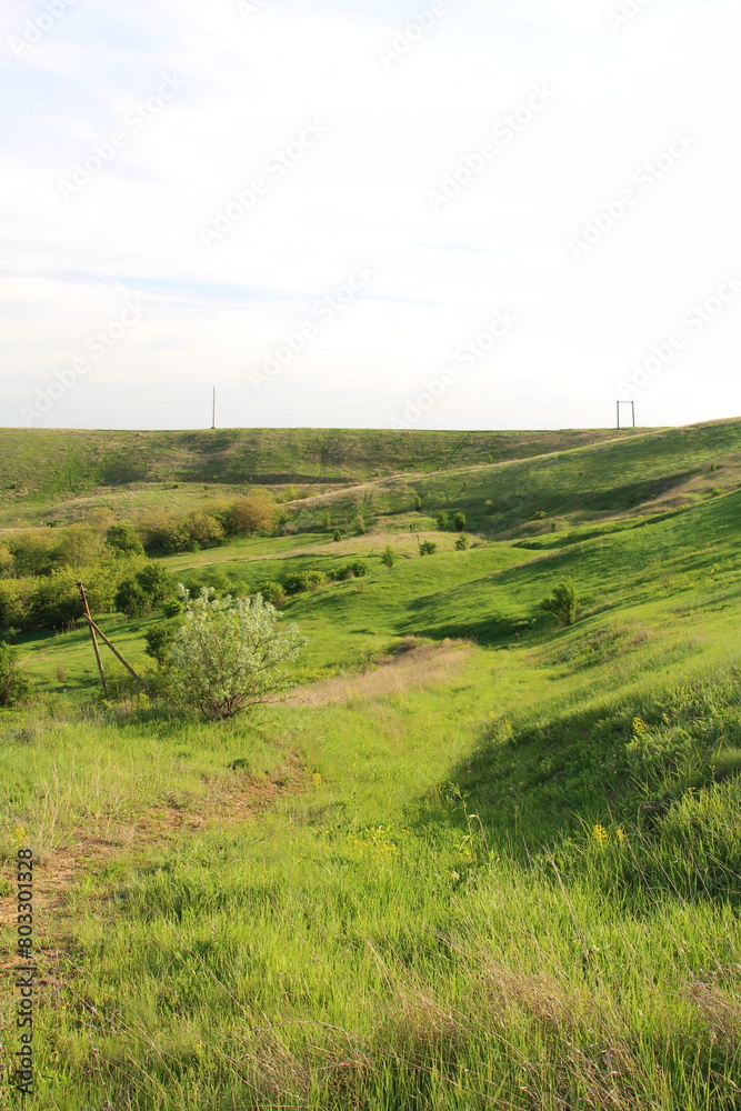 A grassy field with a fence with Konza Prairie Natural Area in the background