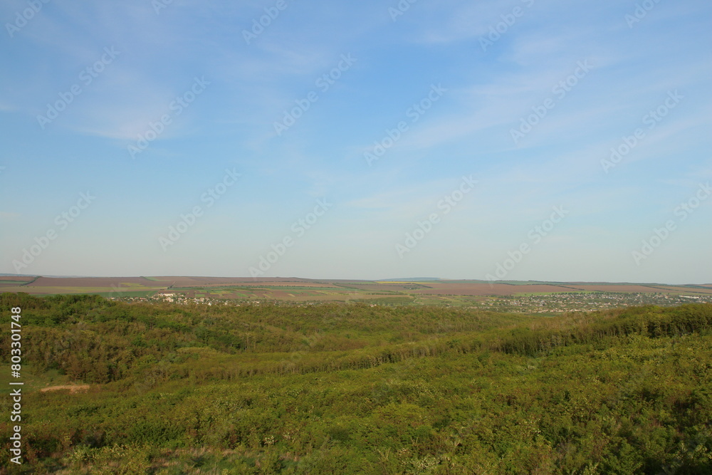 A grassy field with blue sky and clouds