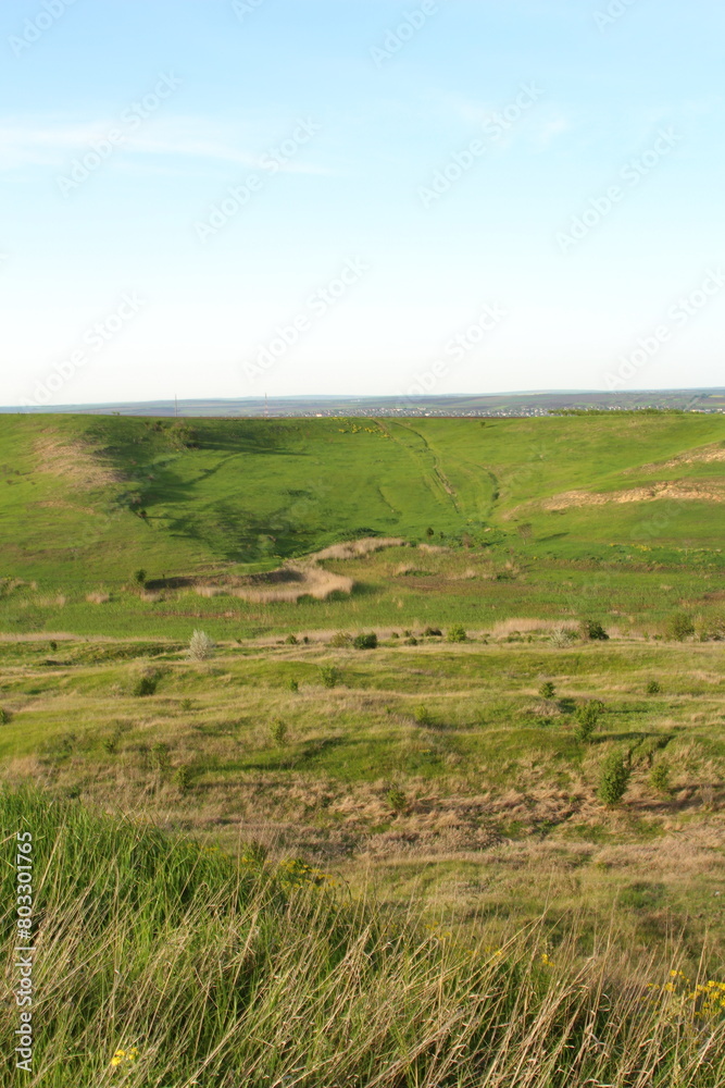 A grassy field with a hill in the background