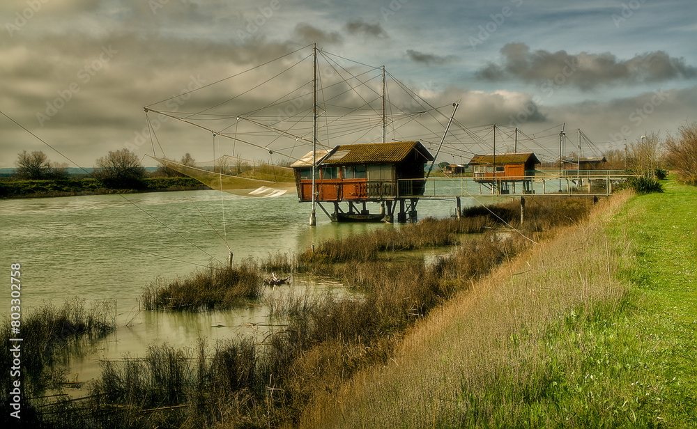 Obraz premium the nature reserve near Lido di Dante (Bassona). Very picturesque with its pine trees and marshy waters