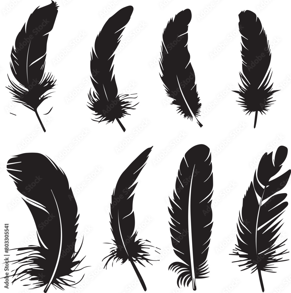 Obraz premium set of feathers